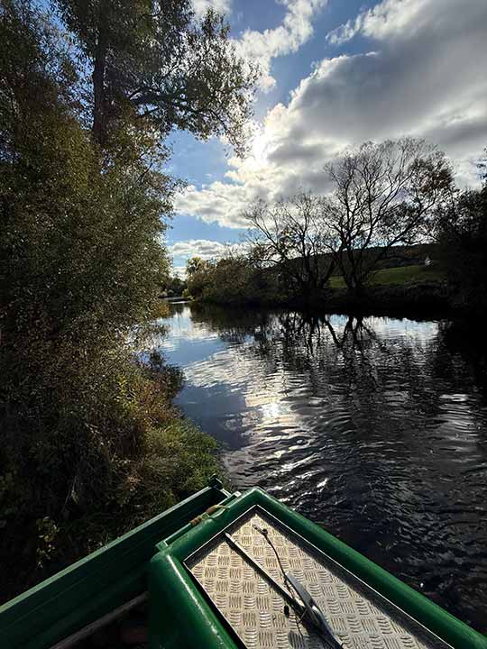 Fischbesatz Herbst 2025 – Bild 11