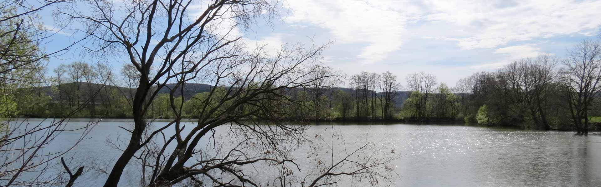 Bestimmungen - Schonzeiten - Mainfischerei Lichtenfels