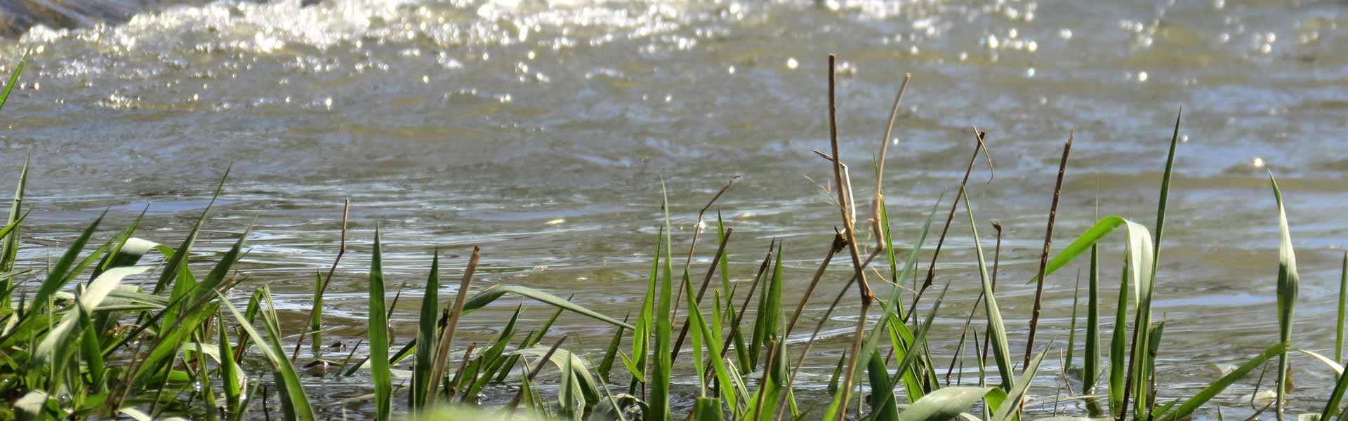 Erlaubnisscheine - Mainfischerei Lichtenfels