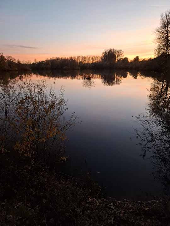 Fischbesatz Herbst 2025 03