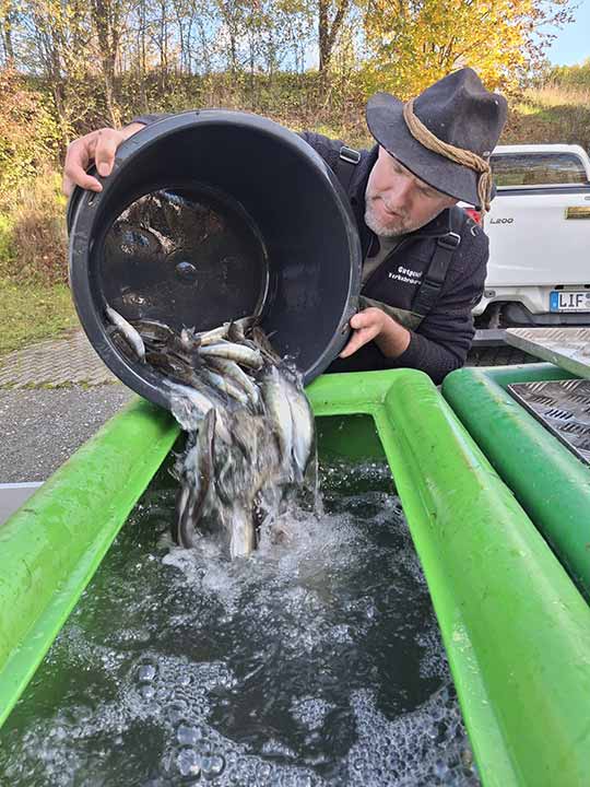Fischbesatz Herbst 2025 07