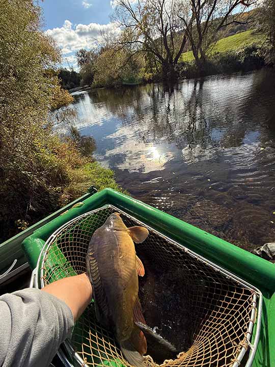 Fischbesatz Herbst 2025 14